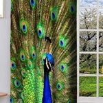 3D Printed Peacock Curtains For Home Interiors